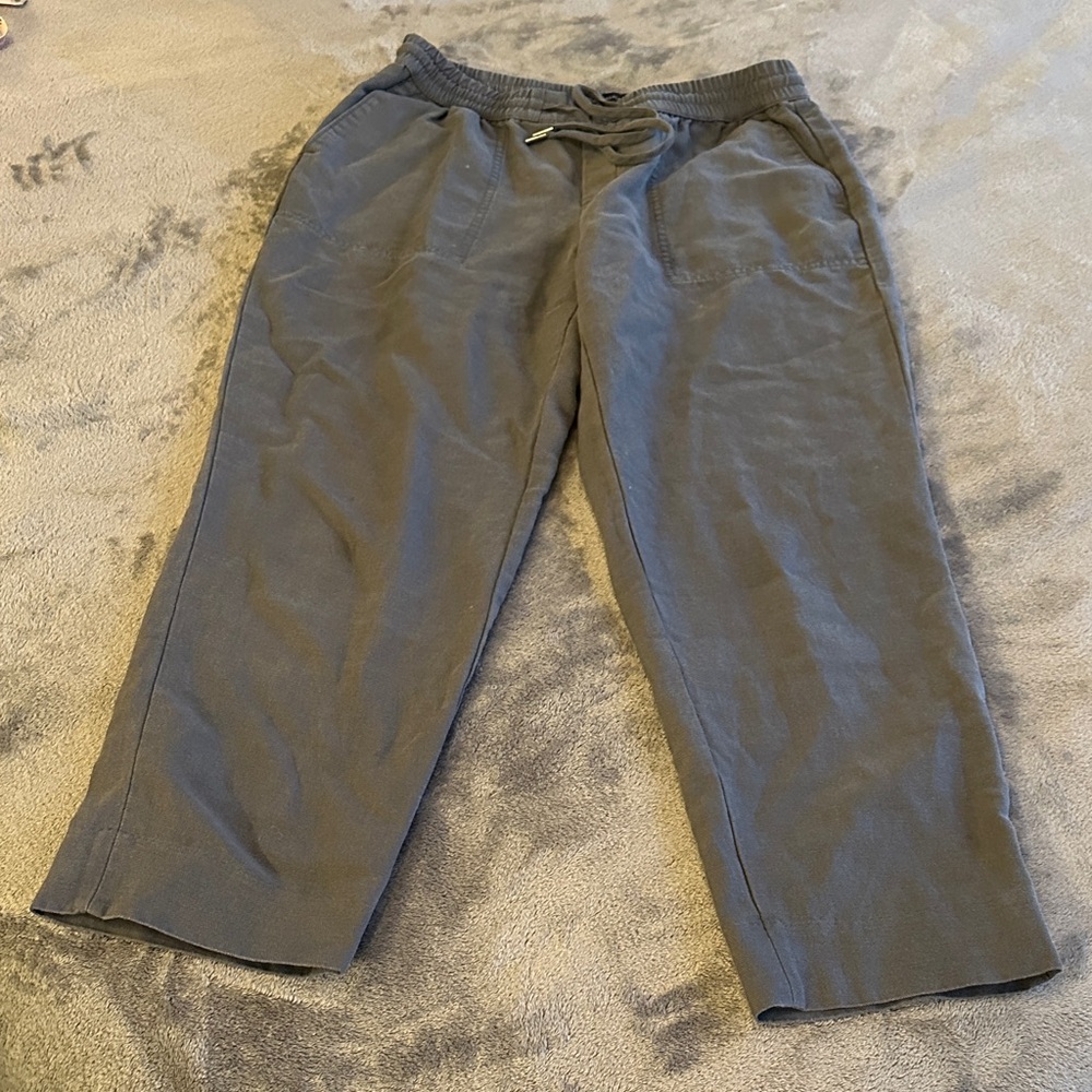 Banana Republic women’s Gray pants